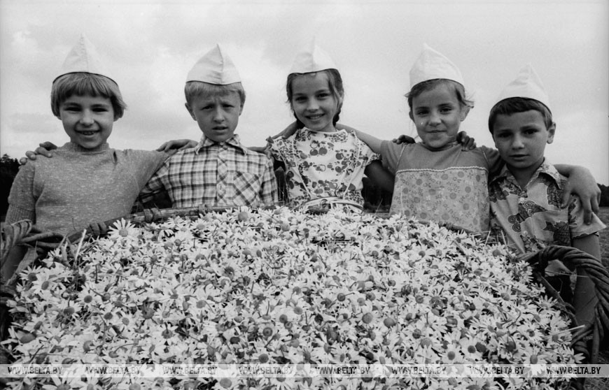 Летние каникулы. Дети рабочих и служащих Могилевского производственного объединения "Химволокно" имени В.И. Ленина, 1980 год Летние каникулы. Дети рабочих и служащих Могилевского производственного объединения "Химволокно" имени В.И. Ленина, 1980 год