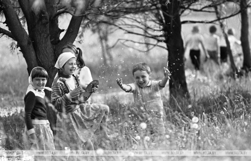 Фотоэтюд. Одуванчики, 1987 год Фотоэтюд. Одуванчики, 1987 год