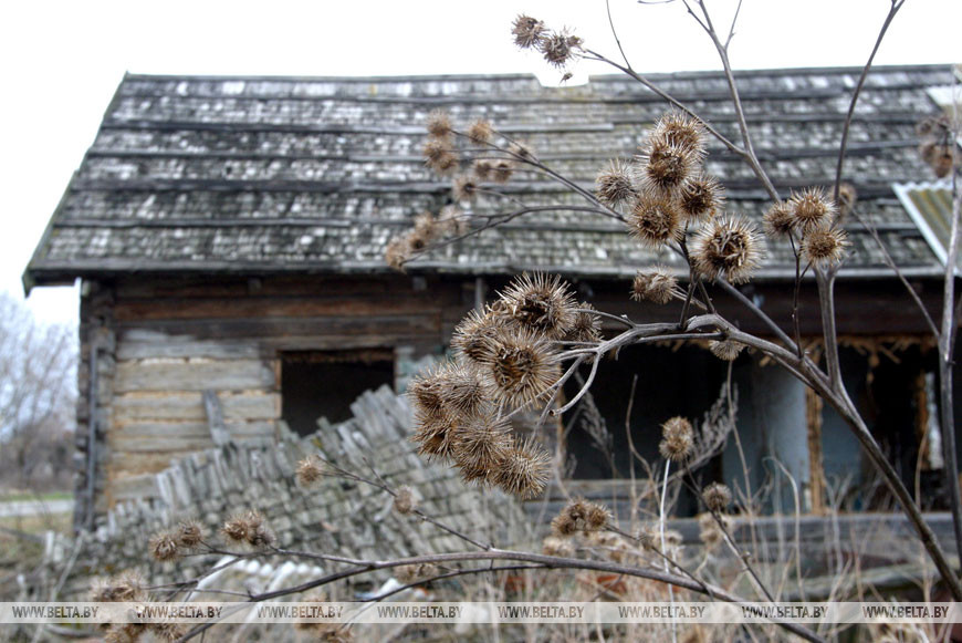 Хойникский район. Жизнь после Чернобыля. Зона отчуждения, 2004 год