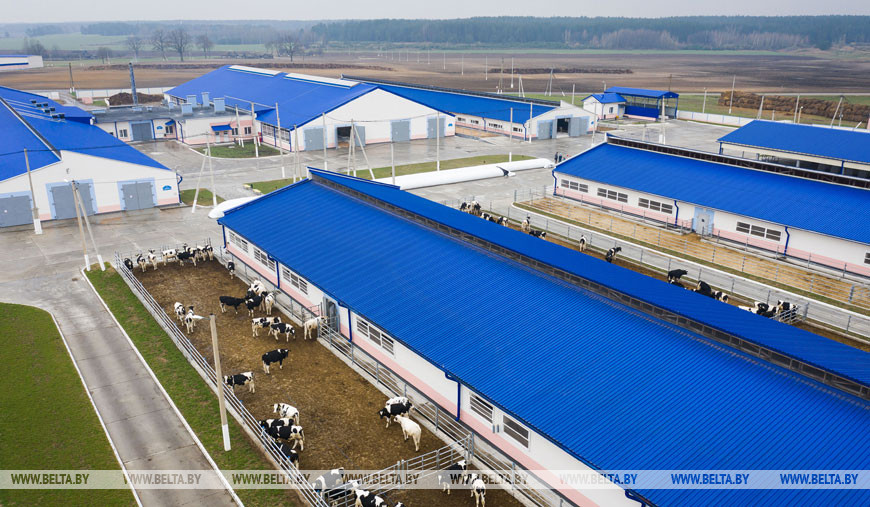 Наровля, 2021 год