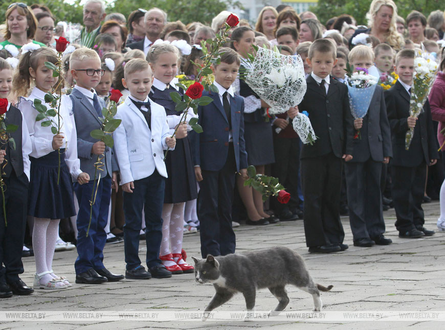 Праздничная линейка по случаю Дня знаний в Докшицах, 2017 год Праздничная линейка по случаю Дня знаний в Докшицах, 2017 год