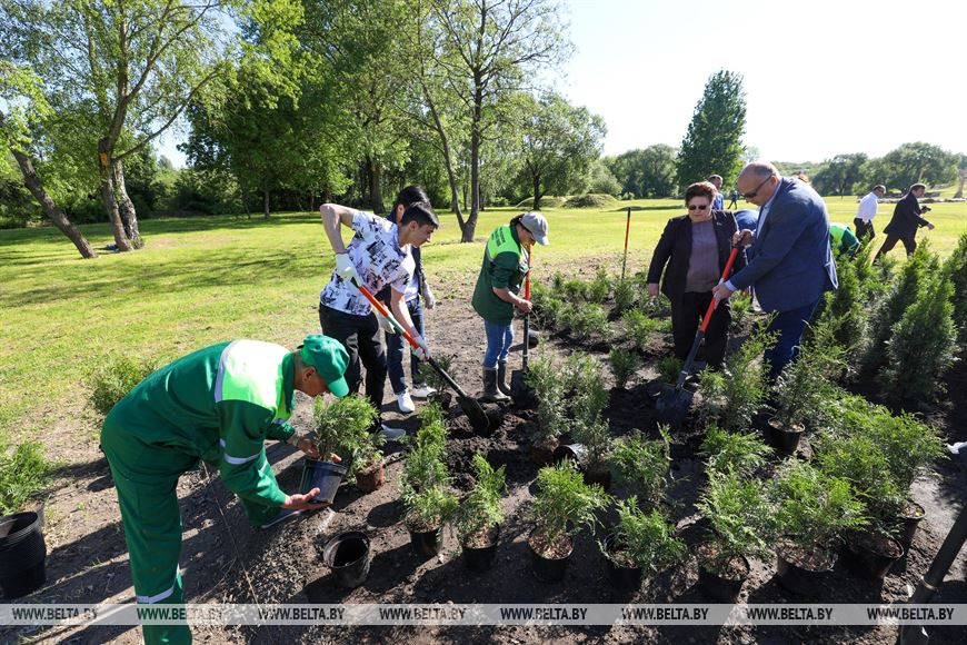 Во время посадки композиции Во время посадки композиции