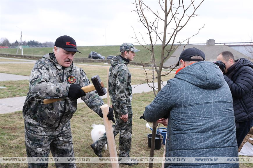 Александр Лукашенко трудится на субботнике на своей малой родине - в агрогородке Александрия Шкловского района