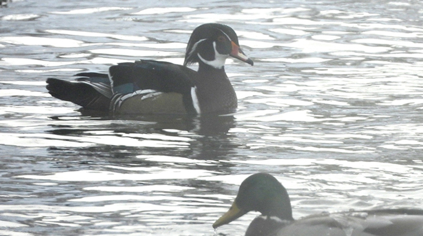 Фото Дмитрия Винчевского