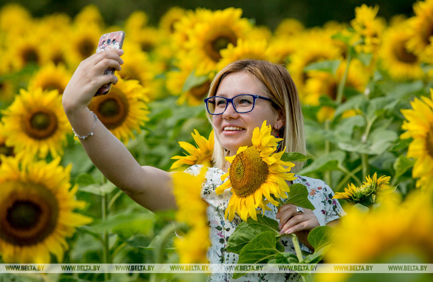 Брестская область, 2017 год