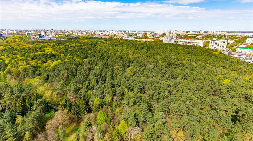 Из окон – виды на Ботанический сад и Парк Челюскинцев Из окон – виды на Ботанический сад и Парк Челюскинцев