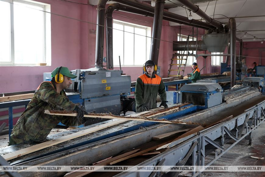 На территории лесхоза