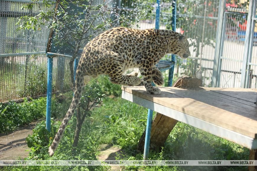 Водные процедуры