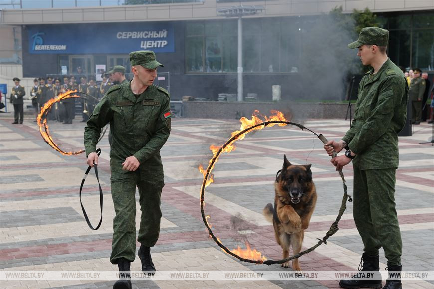 Во время показательных выступлений кинологов