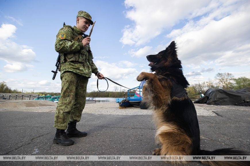 Служебная собака выполняет команды военнослужащего Кирилла Семенени