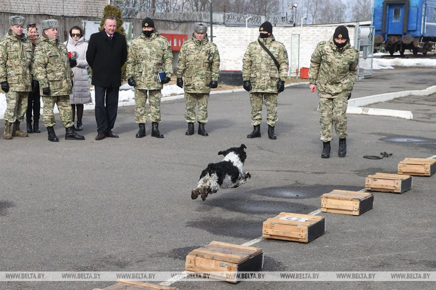 Помощник Президента - инспектор по Могилевской области Леонид Мартынюк во время знакомства с кинологическим центром Помощник Президента - инспектор по Могилевской области Леонид Мартынюк во время знакомства с кинологическим центром