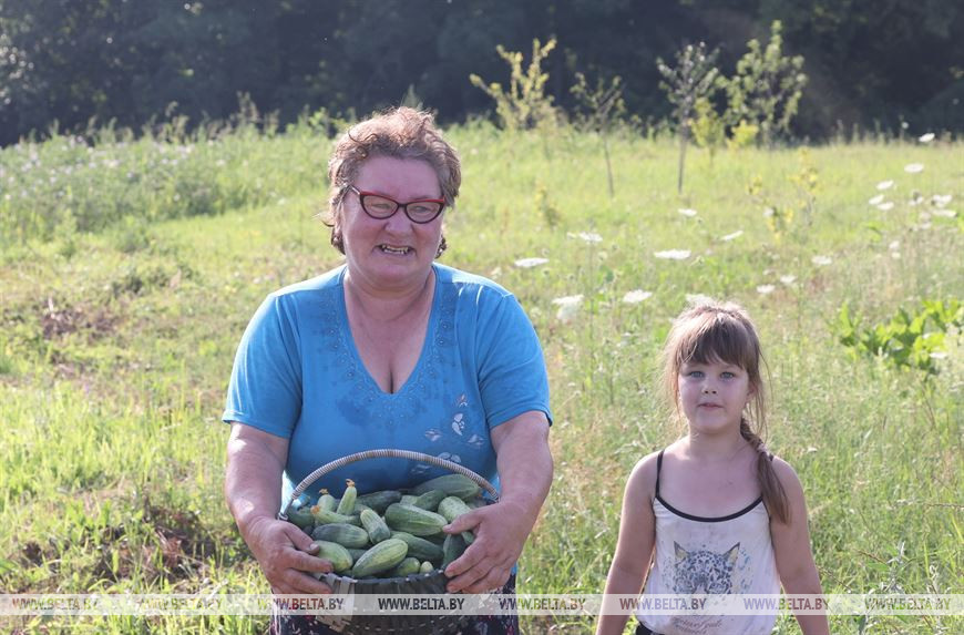 Валентина Боброва с урожаем огурцов Валентина Боброва с урожаем огурцов