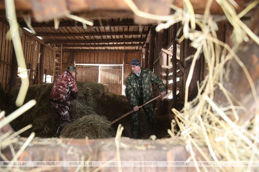 Егерь Юрий Станкевич и охотовед Станислав Босько подкармливают зубров Егерь Юрий Станкевич и охотовед Станислав Босько подкармливают зубров
