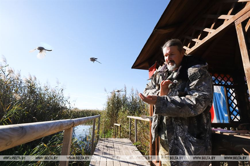Дмитрий Журавлев отпускает окольцованную птицу на свободу