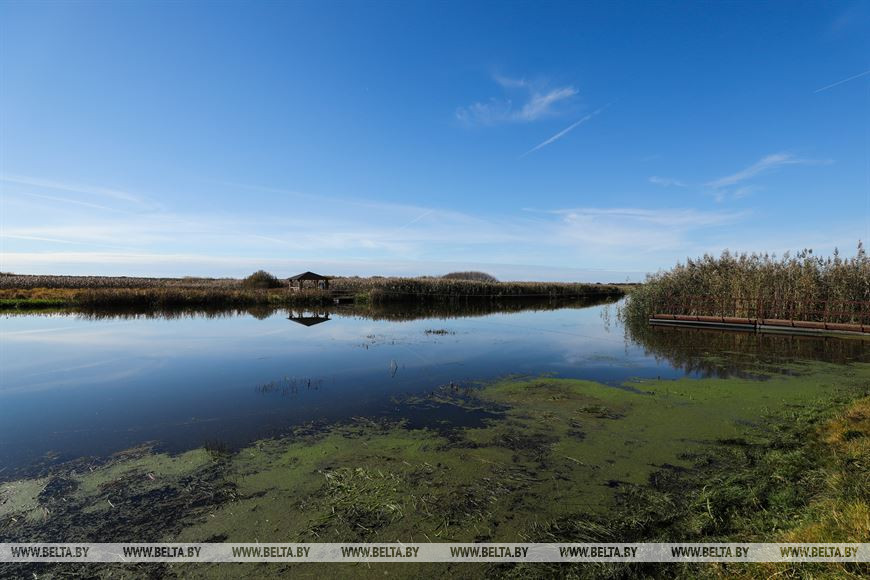 Пойма реки Ясельда