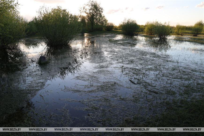 Туровский луг Туровский луг