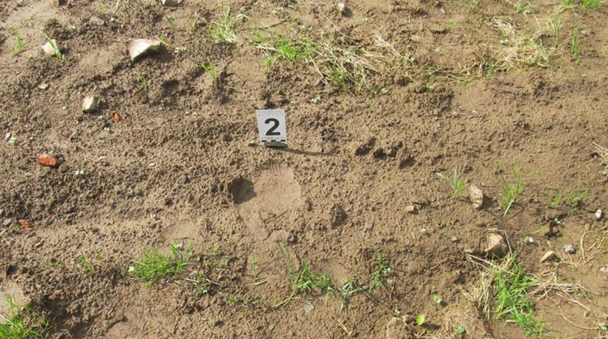 Фото ГКСЭ Фото ГКСЭ