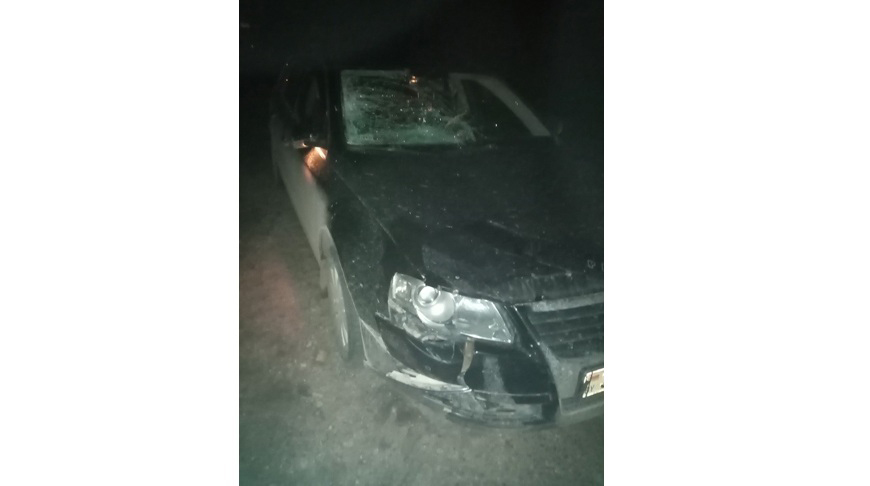 Фото ГАИ Витебской области Фото ГАИ Витебской области