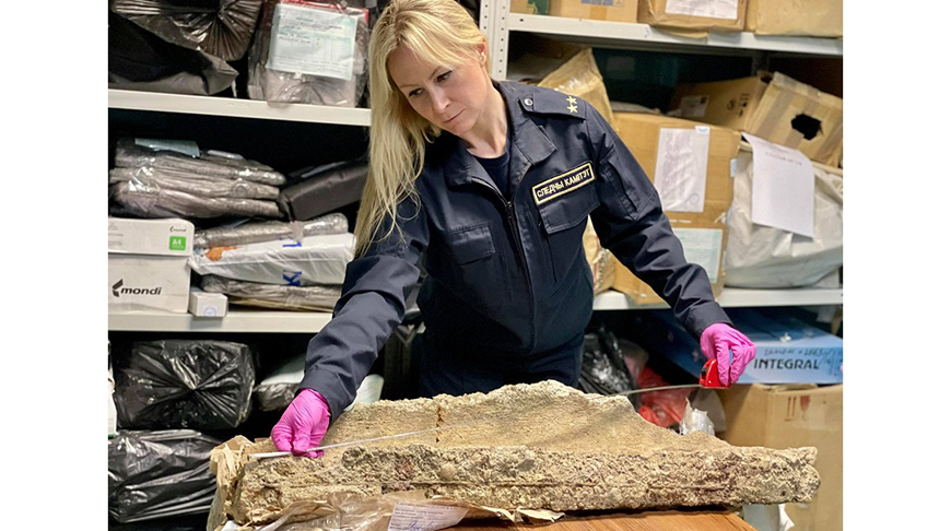 Фото СК Фото СК