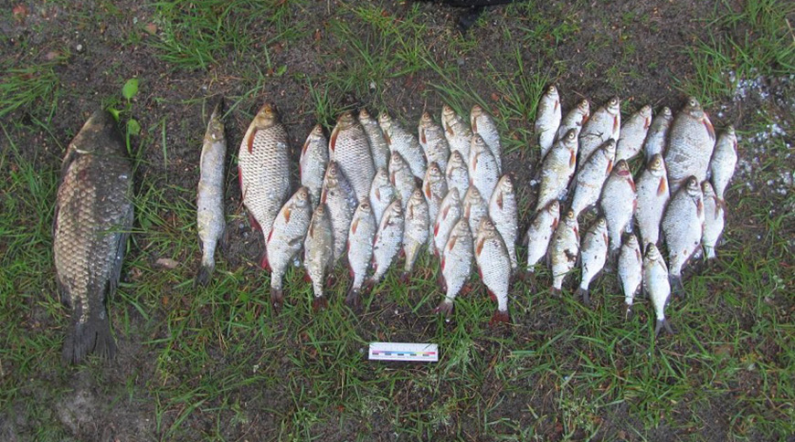 Фото СК Фото СК