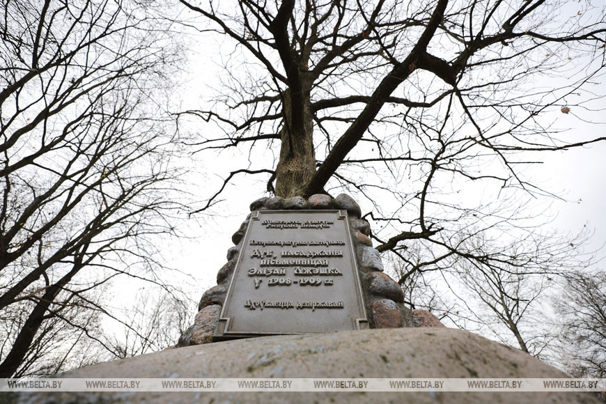Дуб, посаженный Элизой Ожешко в усадьбе Бохвицей в Флерьяново Дуб, посаженный Элизой Ожешко в усадьбе Бохвицей в Флерьяново