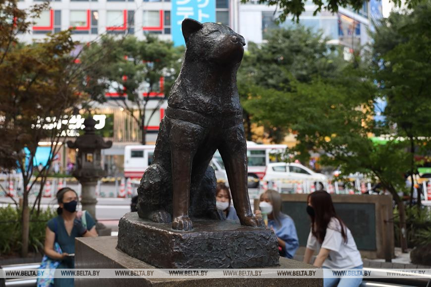 Статуя Хатико у станции Сибуя