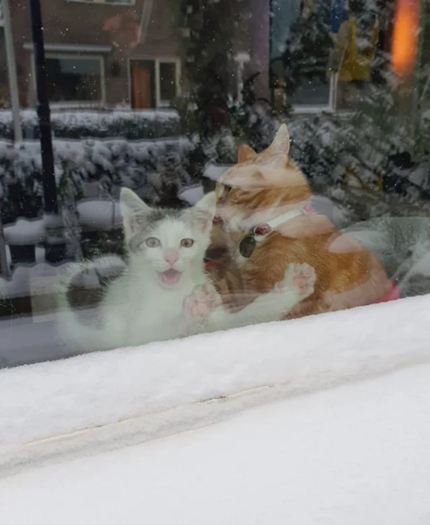 Фото Reddit Фото Reddit