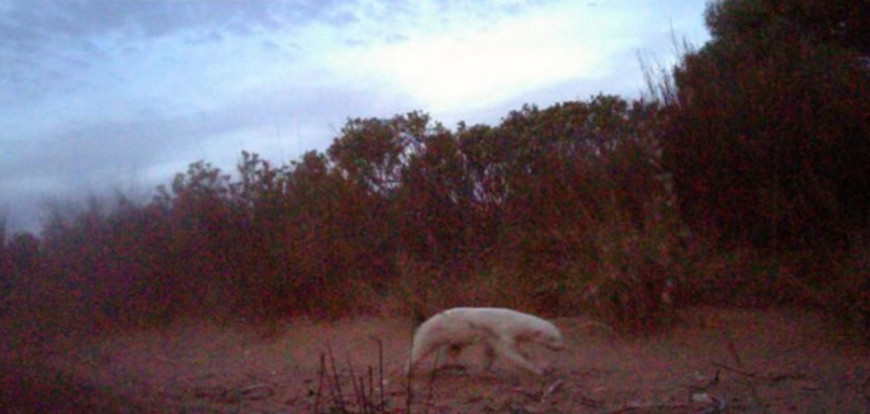 Фото Earth Touch News Фото Earth Touch News