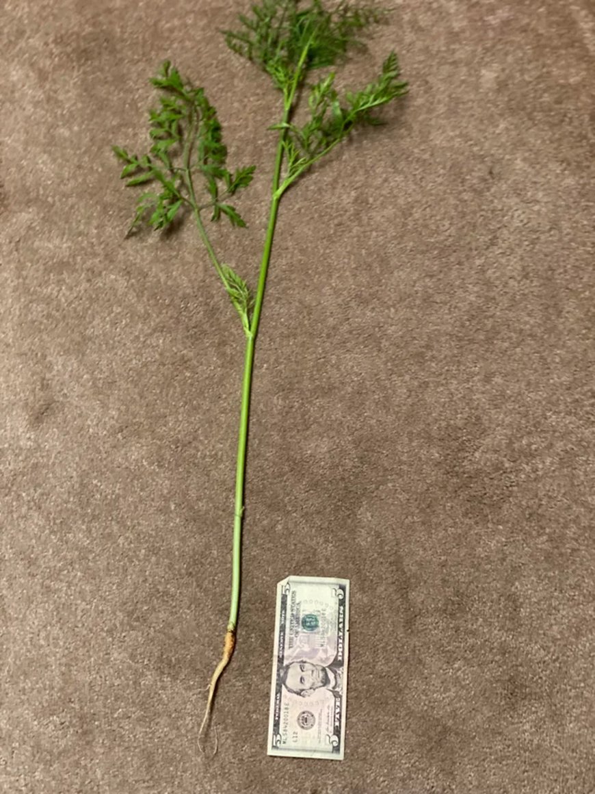 Фото Reddit Фото Reddit