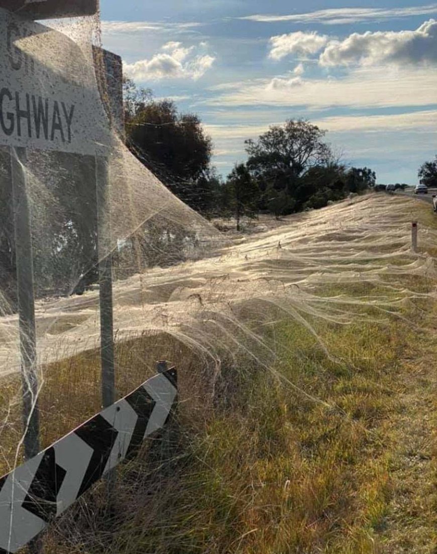 Фото Daily Mail Фото Daily Mail