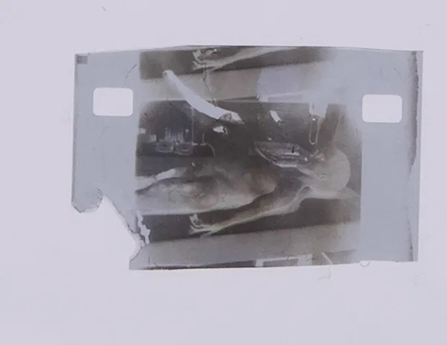 Фото The Sun Фото The Sun