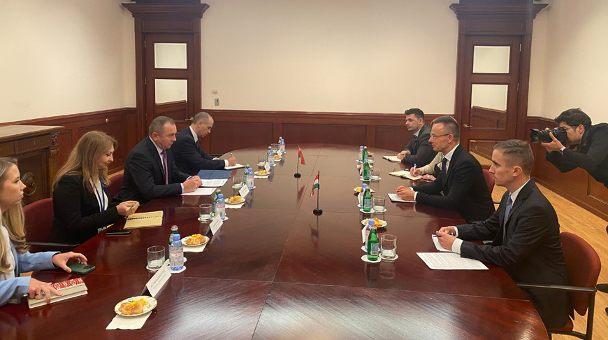 Владимир Макей на встрече с министром иностранных дел и внешней торговли Венгрии Петером Сийярто