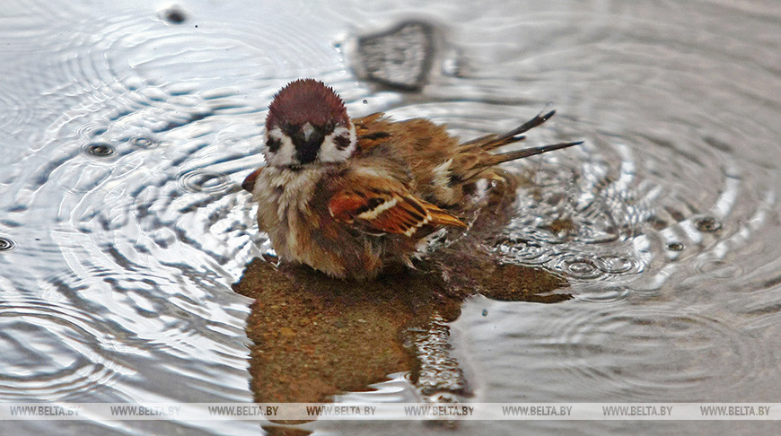Фото из архива Фото из архива