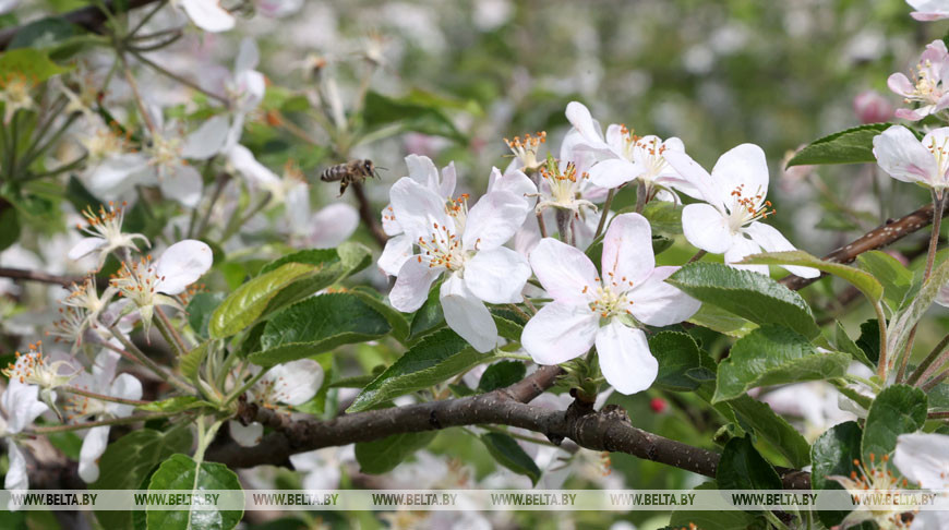 Фото из архива Фото из архива