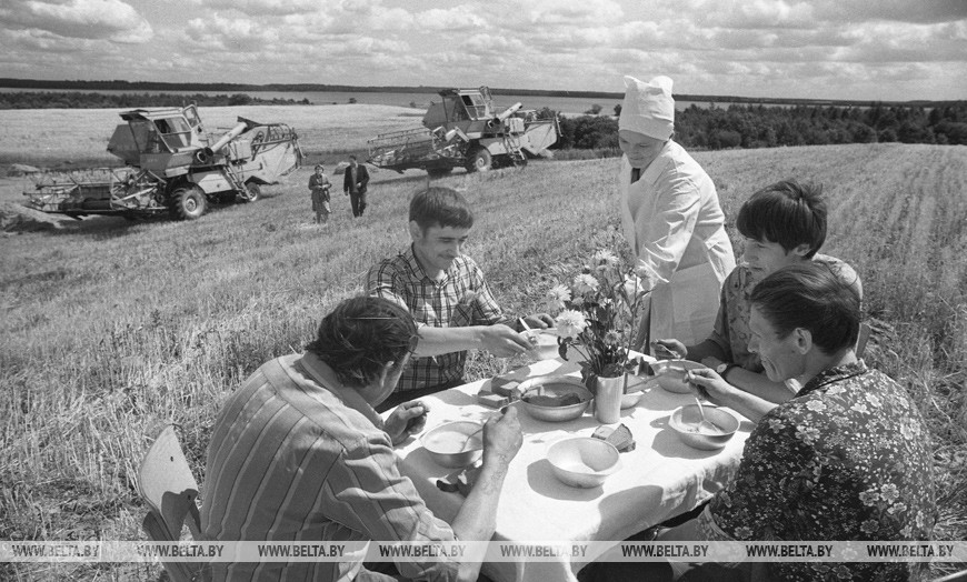 Совхоз "Яблонька" Глубокского района. Обед в поле, 1983 год Совхоз "Яблонька" Глубокского района. Обед в поле, 1983 год