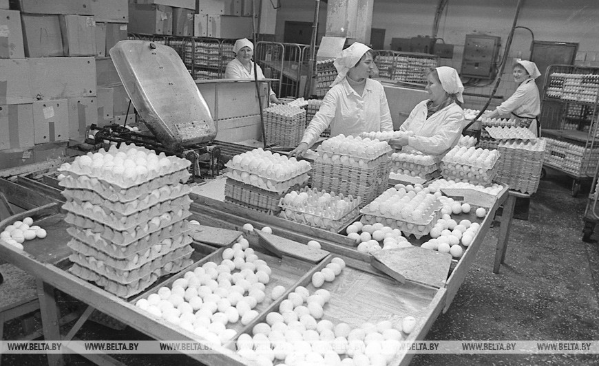 Барановичская птицефабрика Барановичская птицефабрика