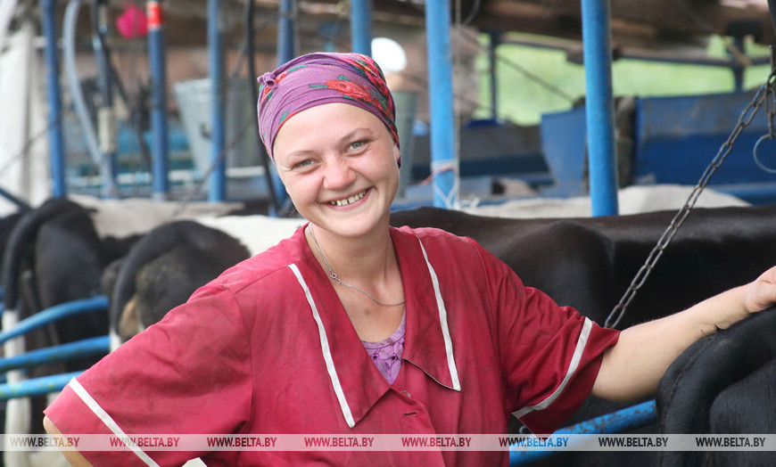 Доярка передвижной доильной установки Вера Пилипейко. Калинковичский район, 2017 год Доярка передвижной доильной установки Вера Пилипейко. Калинковичский район, 2017 год