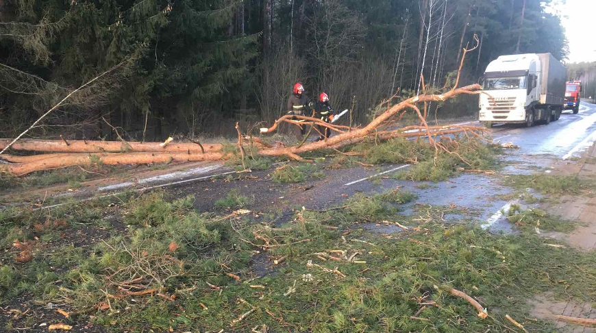 Фото Гродненского областного УМЧС Фото Гродненского областного УМЧС