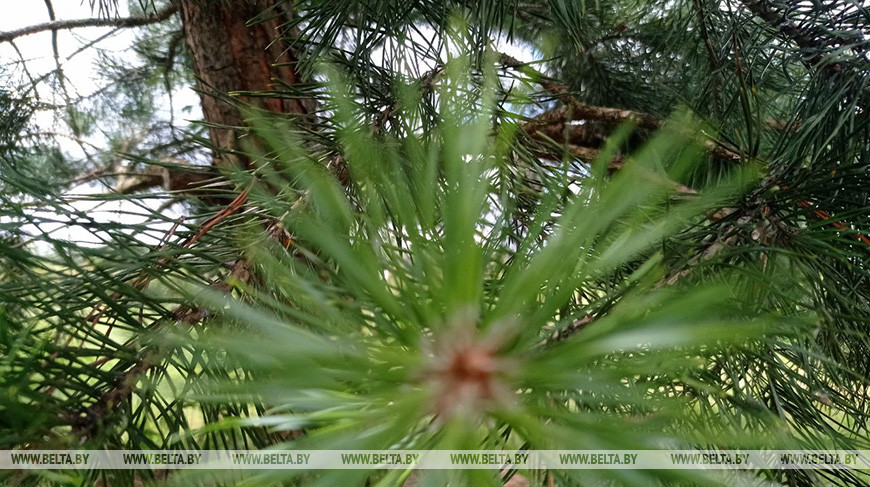 Фото из архива Фото из архива