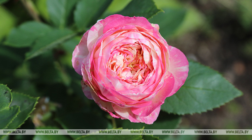 Фото из архива Фото из архива