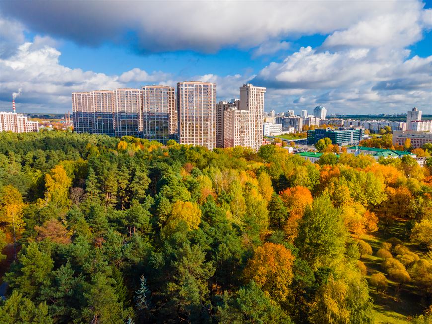 Вид на "зеленое море" из большого панорамного окна? Это так приятно!