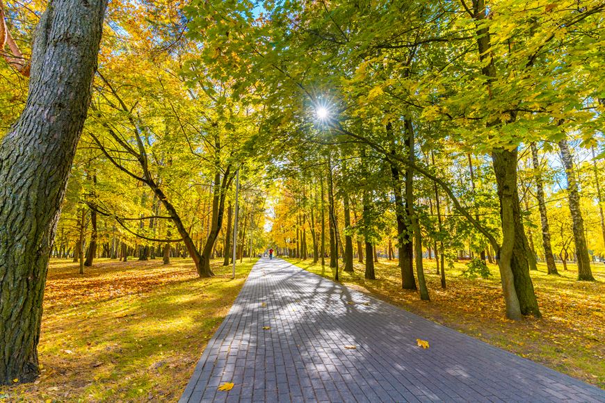 Всегда в шаге от вас знаменитый "Парк Челюскинцев"!