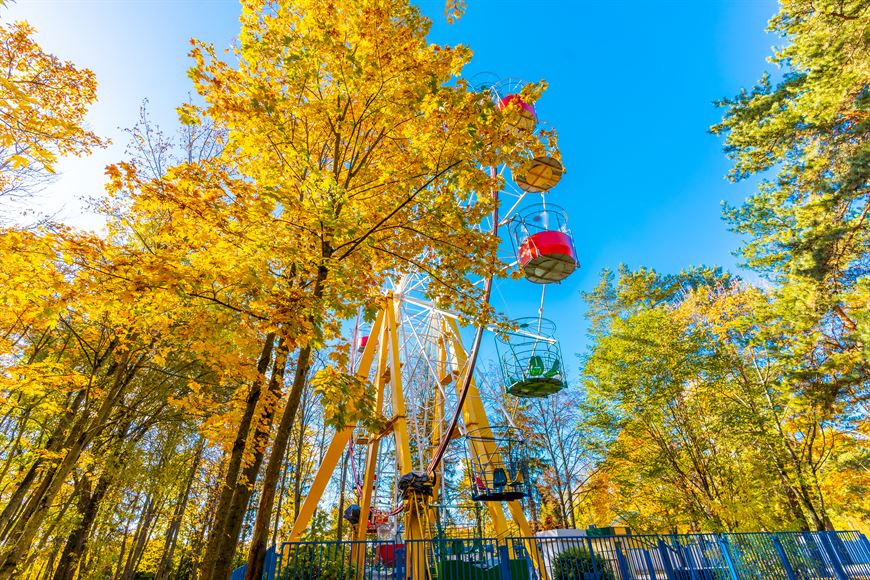 Колесо обозрения поднимет на 7 небо радости!