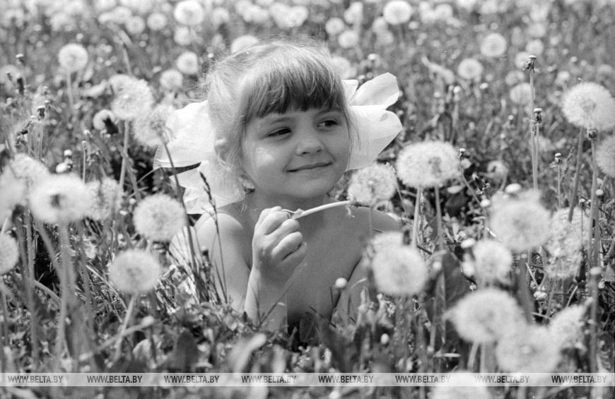 В одуванчиках... (юная горожанка Новополоцка Наташа Иванова), 1982 год В одуванчиках... (юная горожанка Новополоцка Наташа Иванова), 1982 год