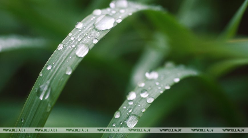 Фото из архива Фото из архива