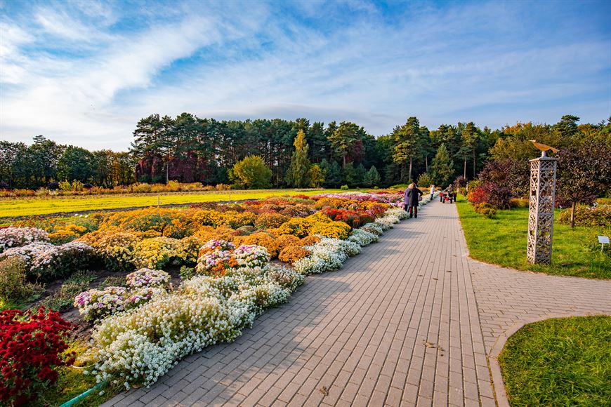 Добро пожаловать в Ботанический сад!