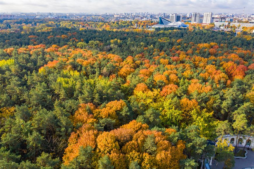 "Парк Челюскинцев" - оазис комфорта в самом сердце столицы!