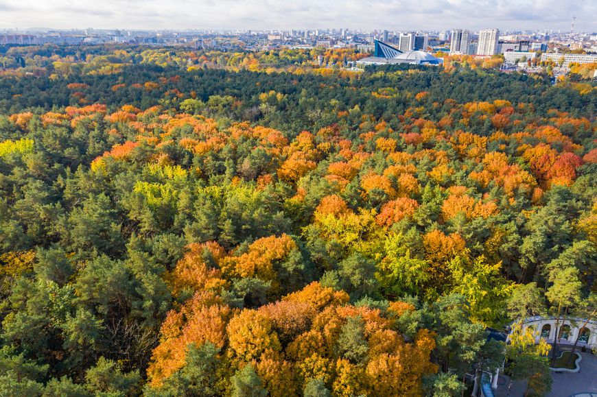 "Парк Челюскинцев" - ваша возможность дышать свежим воздухом в центре столицы!