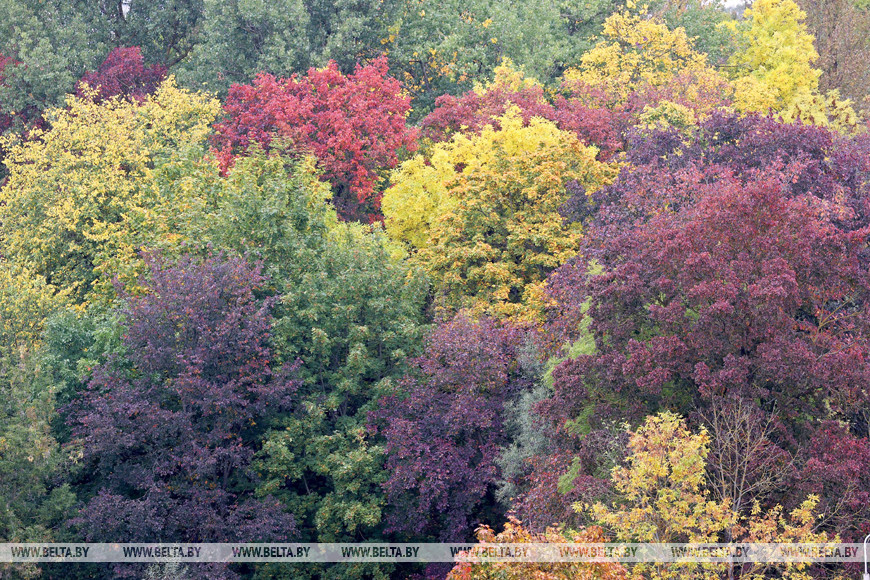 Фото из архива Фото из архива