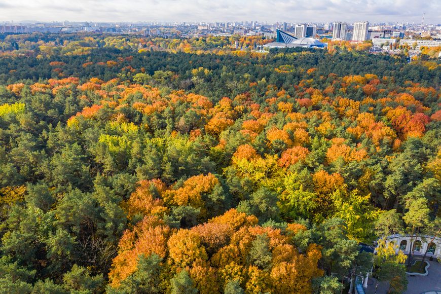 "Парк Челюскинцев" — оазис комфорта в самом сердце столицы!